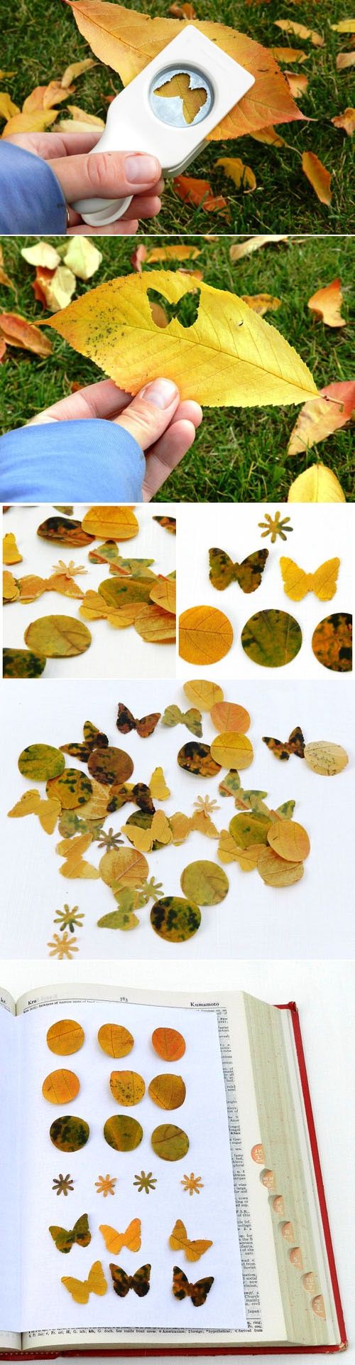 Friday Fab Finds ~ Autumn Leaves Confetti